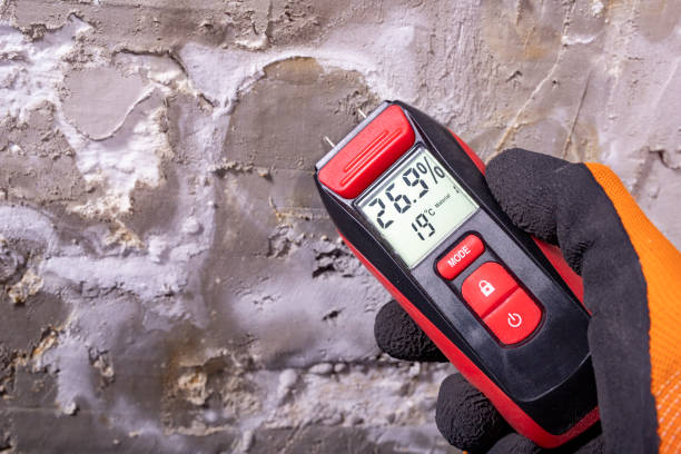 Best Toxic Mold Removal  in Paradise, CA