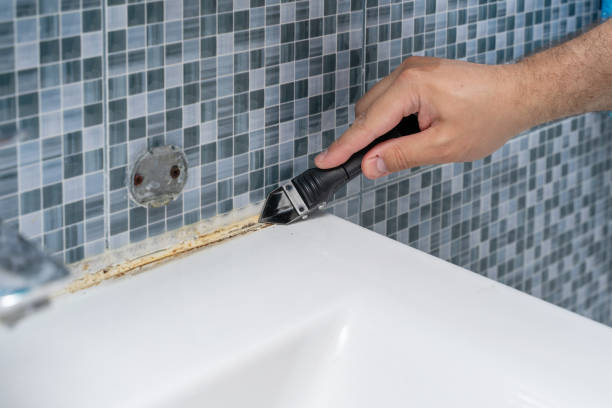 Best Office Mold Removal Services  in Paradise, CA