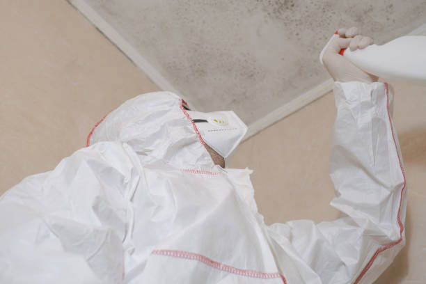 Best Professional Mold Removal  in Paradise, CA
