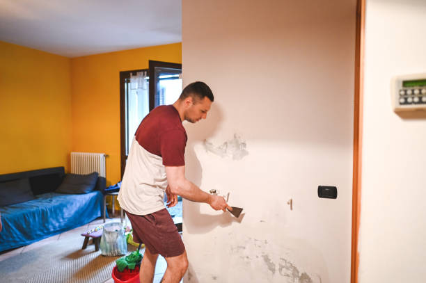 Best Mold Removal and Inspection  in Paradise, CA